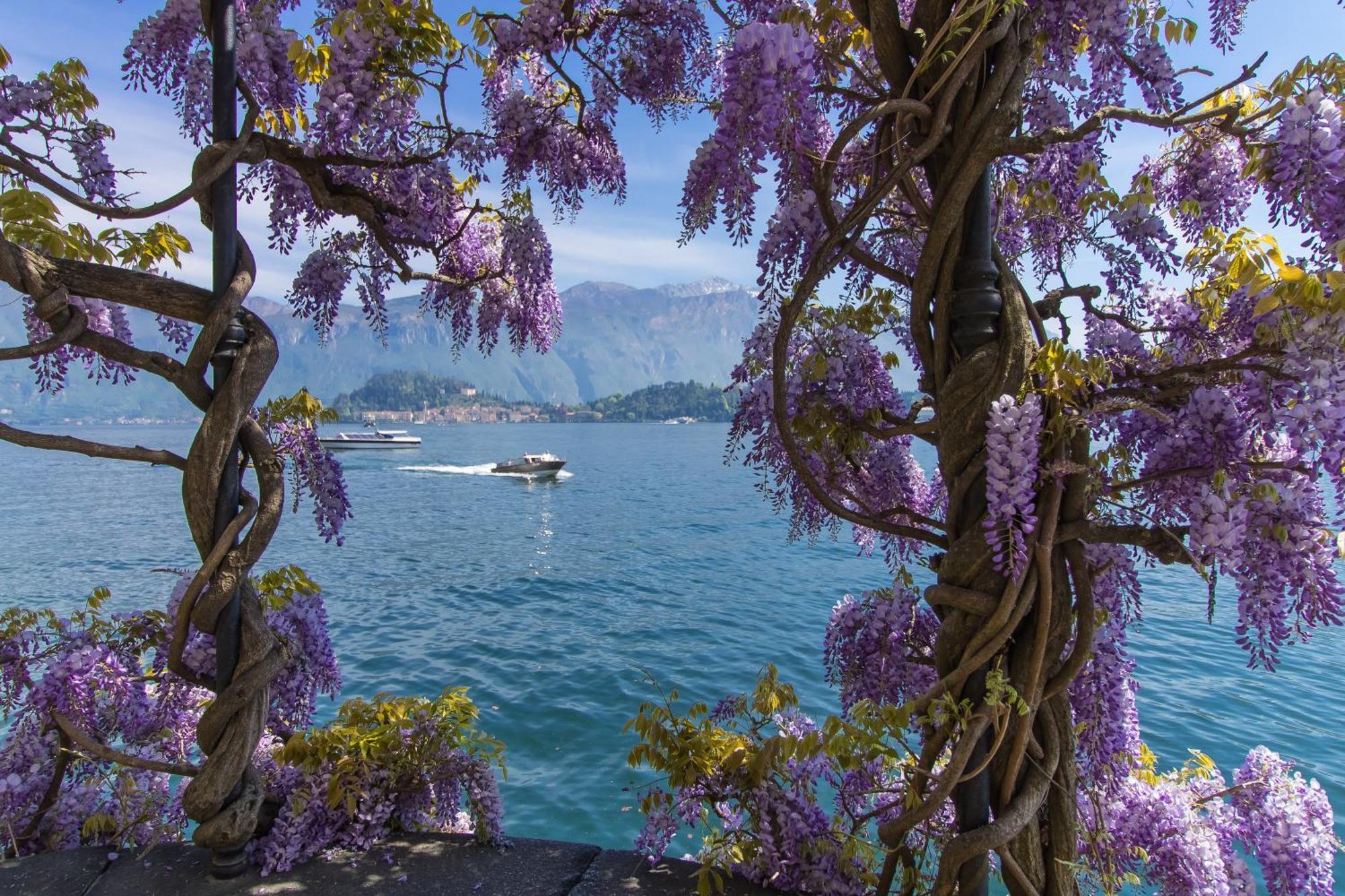 Appartement Il Panorama Di Forster à Menaggio Extérieur photo